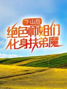 阴阳路转封面