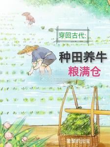 综影视：女配的千层套路封面