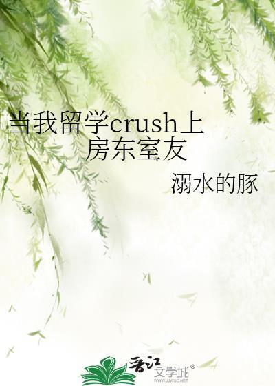 穿越红楼去写文