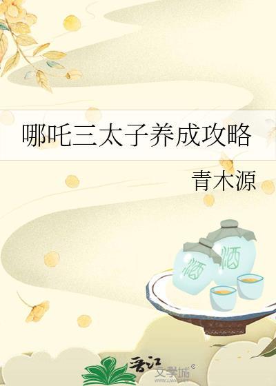 我在北宋开宜家