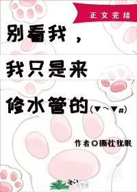 大佬，挖个墙脚