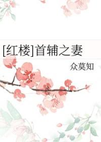 心岸 · 梦之交响曲