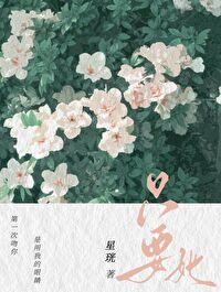 烽影燃梅香原著小说袖唐