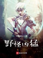 半岛:我的女团是战场