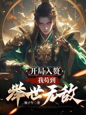 英雄无敌之光明教主