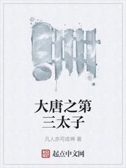 宦海官途秦峰胡佳芸