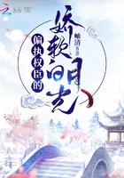 穿书八零闪婚高岭之花