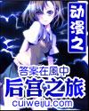 大宋泼皮