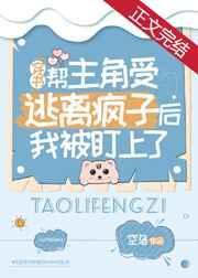 精灵宝可梦:我能给精灵叠加特性