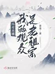 崩坏,我创造的骑士故事