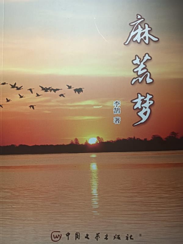 月与鸢尾的伴行诗