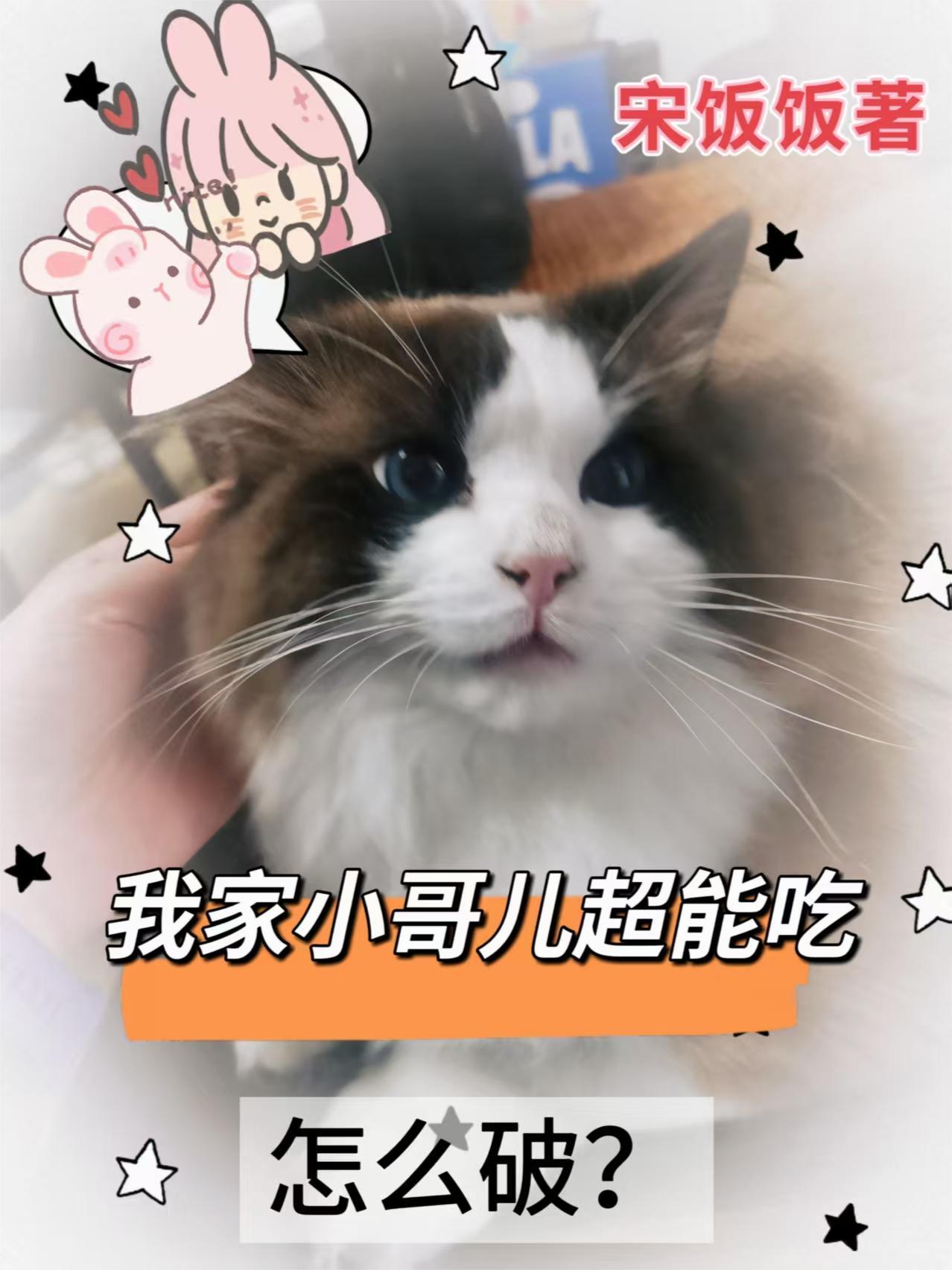 穿越之星语心愿