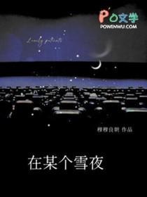 领主:从灰烬到薪王