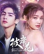 霸婚之独宠甜妻