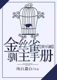 都玩攻略游戏了,当然要全收集