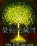 [原神]我，时之执政，认识你祖宗